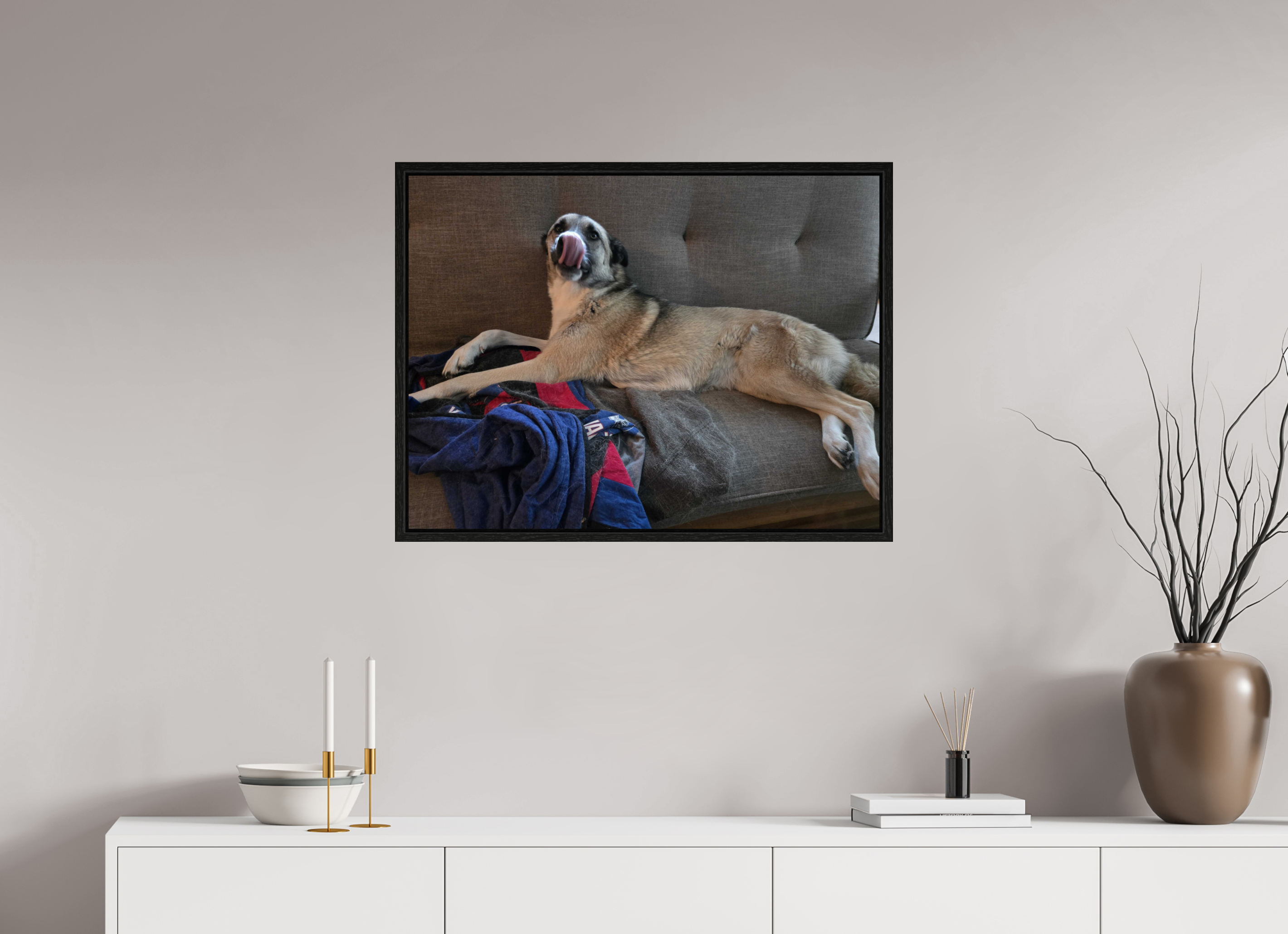 A very long dog - malamute - newt store