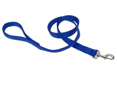 Dog Leash - newt store