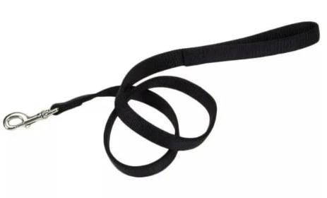 Dog Leash - newt store