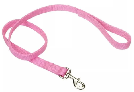 Dog Leash - newt store