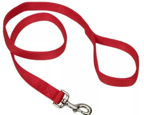 Dog Leash - newt store