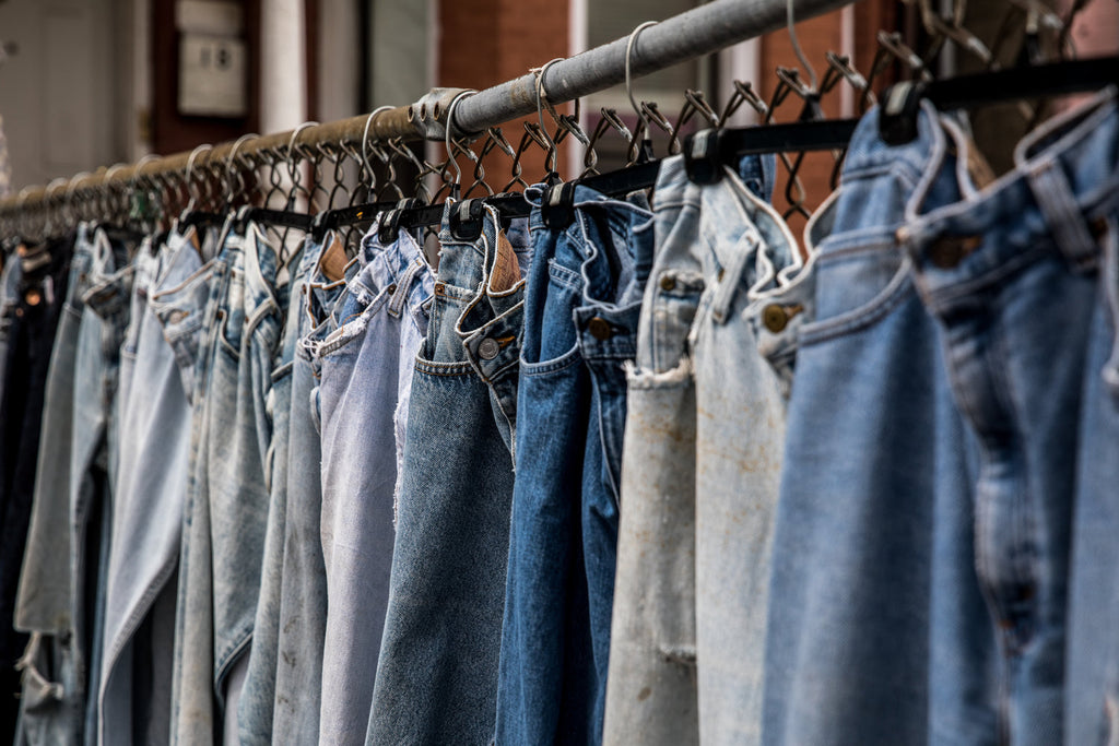 Example Jeans - newt store