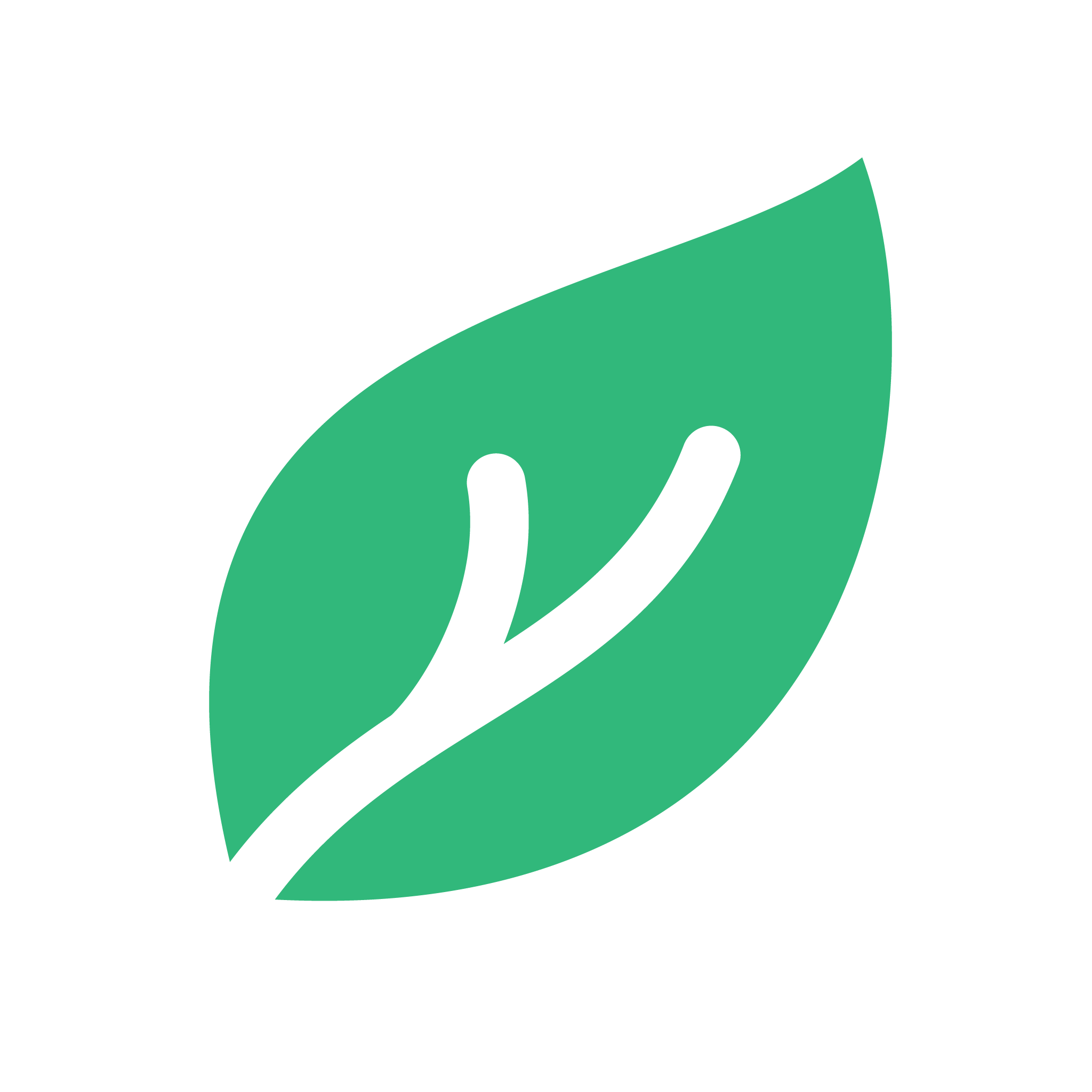Shipped Green Carbon Neutral Shipment - newt store